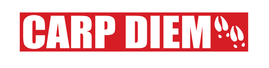 custom 72" x 12.5" Carp Diem metal sign